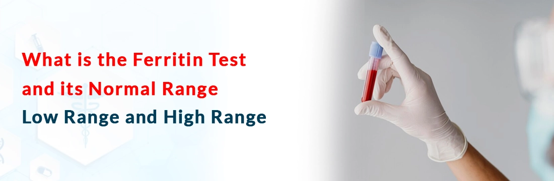  What is the Ferritin Test and its Normal Range, Low Range and High Range